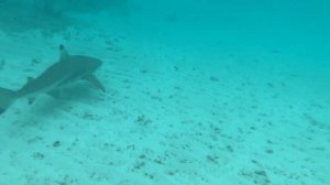 Мальдивы. Рай на земле? Мале. Атоллы