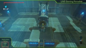 Breath of the Wild - Bareeda Naag Shrine Guide and Location