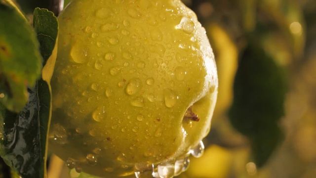 Какие продукты лучше использовать в рационе? | Полезное питание
