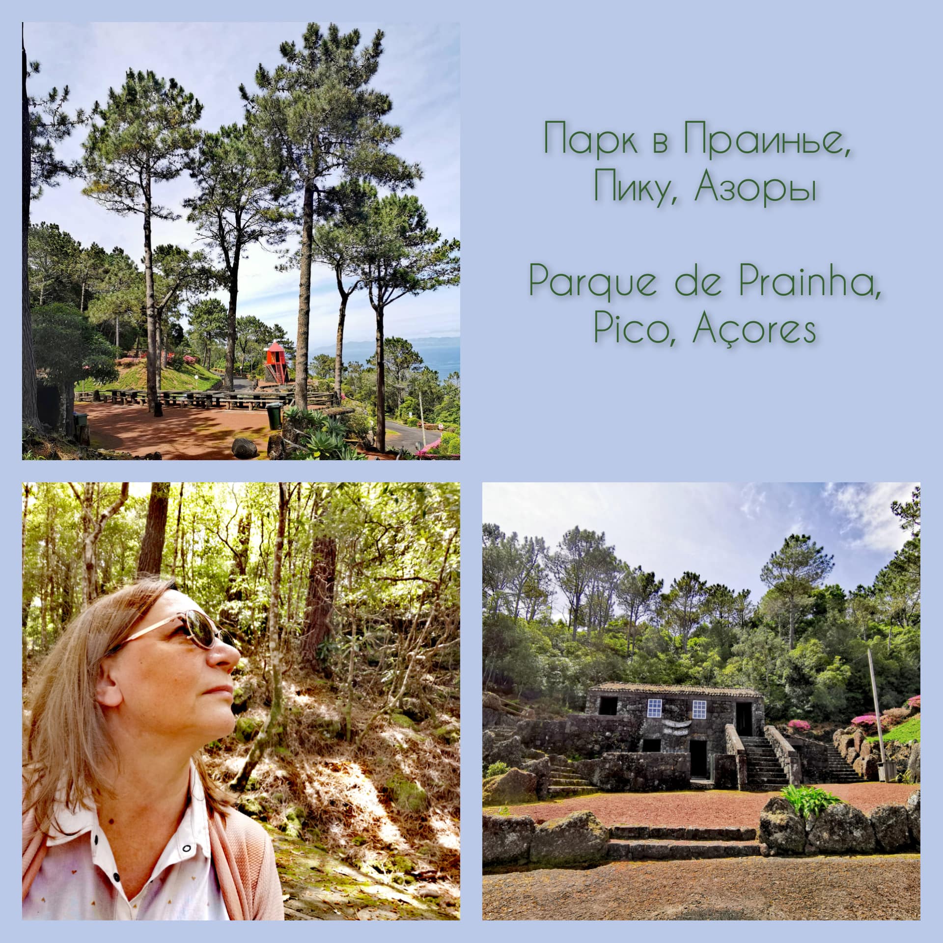 Парк в местечке Праинья, Азорские острова, остров Пику смотреть онлайн ...