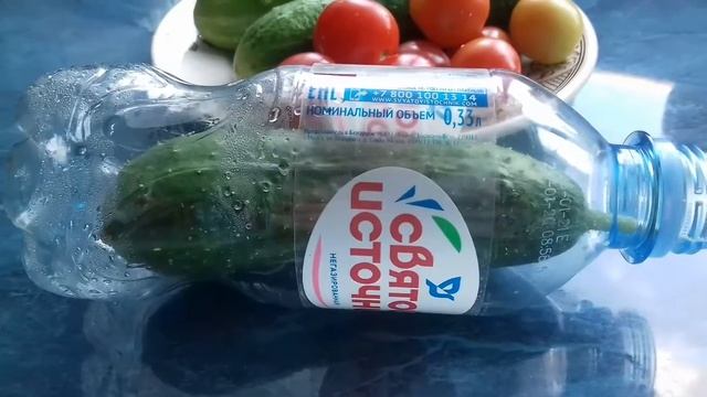 ВЛОГ (10.07.2020): обалденная запеканка из кабачков, огурец в бутылке, детские игры, наш урожай смотреть онлайн