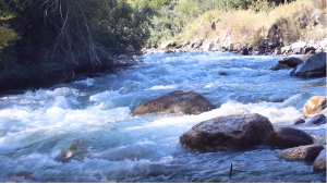 Звуки чистой реки и воды помогут забыть об усталости. Успокаивающая природа, чтобы заснуть