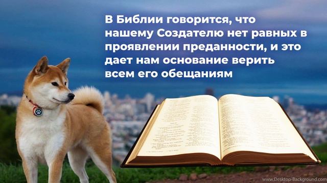 Зачем нужна - преданность?