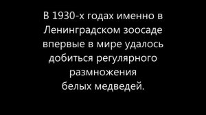 "Листок из альбома"-Э.Григ