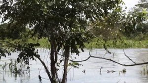 Río Magdalena - Река Магдалена