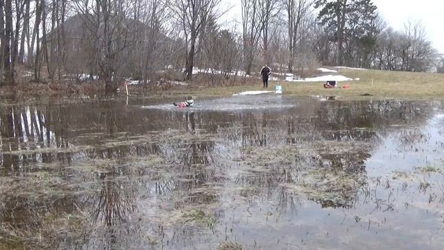 Rc snowmobile new bright brushless 14.8 volts on water. смотреть онлайн