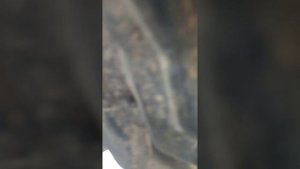 как заменить датчик коленвала Ниссан экстрейл 2'2 дизель