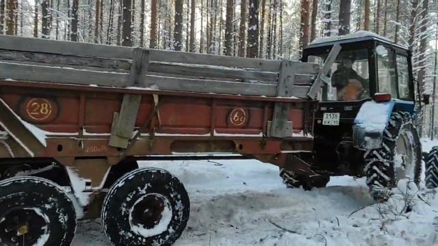 Жизнь в деревне без газа! Заготовка дров От и До! смотреть онлайн