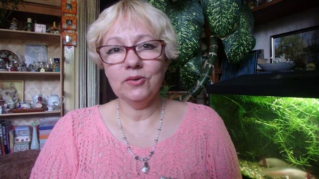 российские ароматы - Новая заря, Brocard, Жириновский смотреть онлайн