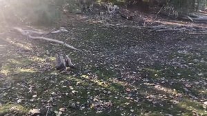 Горловка сегодня. Озеряновка