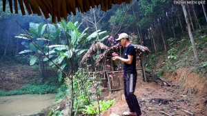 Build a new life / 7 days living in the forest, making traps to find food, raising ducks, gardening