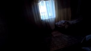 Охота на гуся. Аркалык Казахстан. 2023