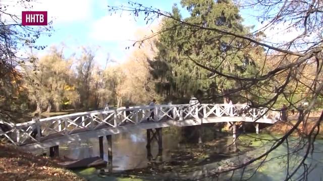 Глава региона Глеб Никитин встретился с послом Австрии в России Йоханессом Айгнером смотреть онлайн