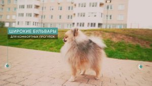 Город-парк «Первый Московский»: инфраструктура и транспортная доступность