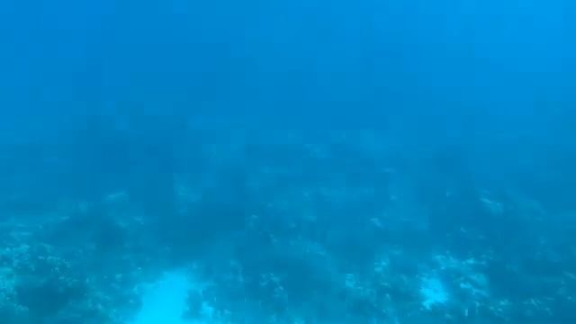 Египет 2021 подводная лодка экскурсия из Egypt 25 смотреть онлайн