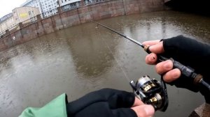 Осенний окунь на микроджиг и наноджиг | Nories-Ecogear Katsu-Aji 69 - первые впечатления