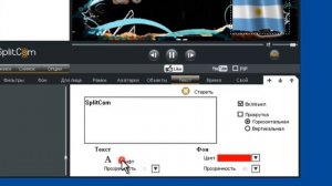 Обзор эффектов для веб камеры в программе splitcam