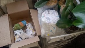 Распаковка посылки с фиалками.#фиалки #разведениефиалок