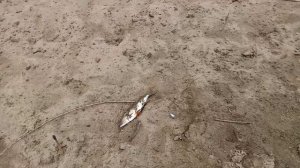 Закидушки на ночь. Утром проверка.