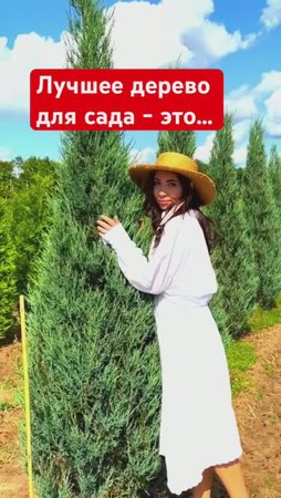 Посадите эти деревья в саду - не пожалеете!