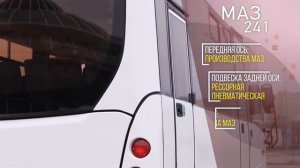 Автобус МАЗ 241