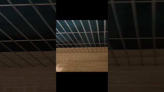 сестра моя любимая 2