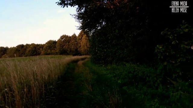 АВГУСТОВСКИЙ ВЕЧЕР В ДЕРЕВНЕ/ AUGUST EVENING IN THE VILLAGE #позитив #КрасиваяПрирода #relax #natur