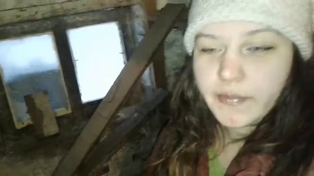 Содержание кур несушек зимой