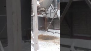 Дробина, барда пивная. Корм для ГЕРЕФОРДОВ.