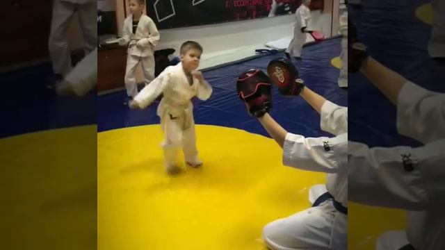 2019-02-20 - Тренировка "Тигров" в Ессентуках. Кудо смотреть онлайн