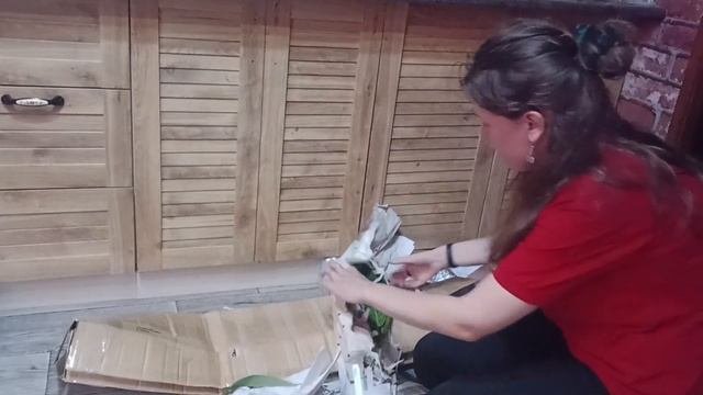 Распаковка эквадорских растений с Equagenera. Антуриум паллидифлорум и филодендрон Патриция