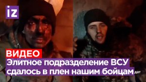 Украинский элитный десант сдался в плен под Новомихайловкой / Известия