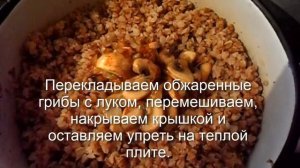 Как приготовить гречку с грибами и луком.  Как сварить рассыпчатую гречку