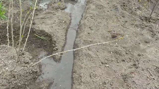 5 класс Основные направления растениеводства