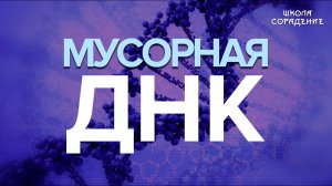 Мусорная ДНК #мусорнаяДНК #ДНК #Гарат #школаCорадение