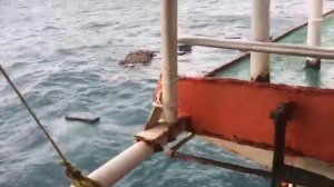 Что происходит, морские суда в море, что делает экипаж и для чего?