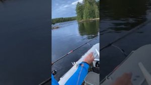 Река Сегежа, Попов Порог, Республика Карелия, начало августа 2022г.