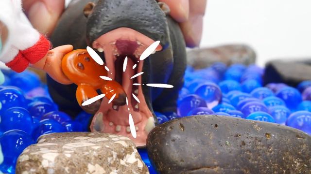 Кукла Штеффи выпустила бегемота из зоопарка! Игры в куклы Барби. Смешные видео для девочек смотреть онлайн