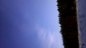 отстрел дроби "0" на 140 метров