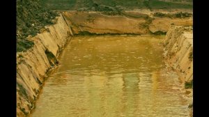 Микрофлора воды. Коли-Титр