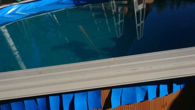 бассейн atlantic pool замена стакана