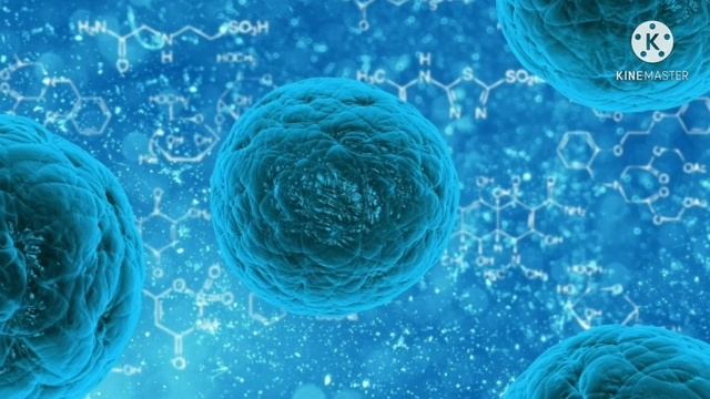 WHAT IS BACTERIA ?|| BACTERIA KYA HAI ?||WOF смотреть онлайн