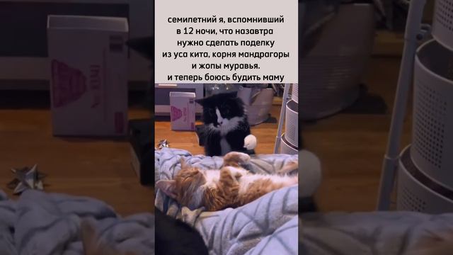 #ростовнадону #школьныегоды #школьныйфотограф