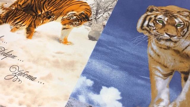 Рогожка "Амурский тигр", ш.1.5м, хлопок-100%, 160гр/м.кв, раппорт 64см АРТ 19311 смотреть онлайн