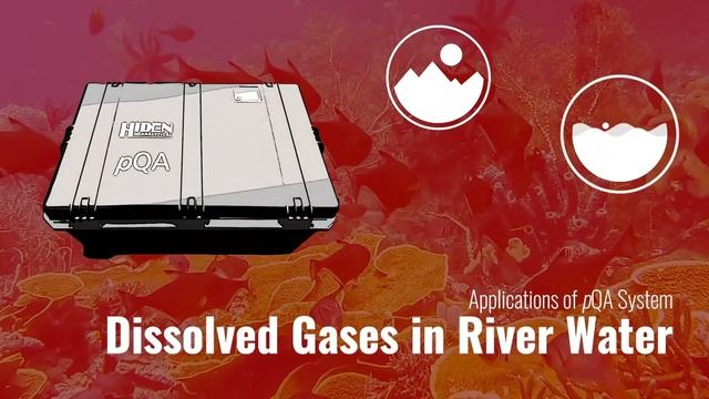 Hiden pQA Portable Quadrupole Analyser for Environmental Studies смотреть онлайн