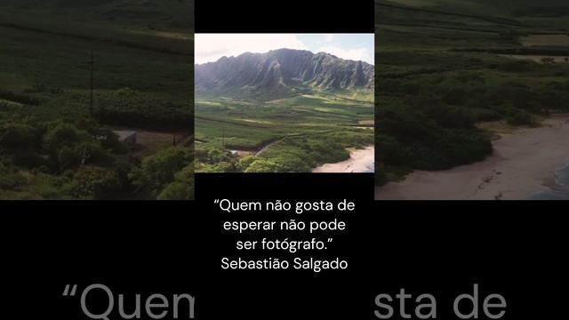 A Vici Brasil apoia a fotografia que inspira e transforma