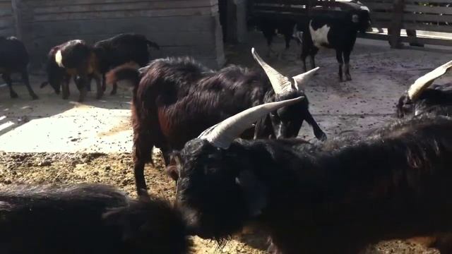 Своими глазами часть 1-ая (Южная Америка)