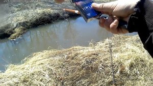 Чебак и плотва (сорога) ранней весной.хороший клёв плотвы.Река каменка