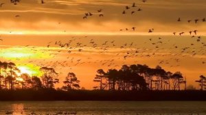 В этот раз будет нечто. ОСЕННЕЕ РАВНОДЕНСТВИЕ 2022