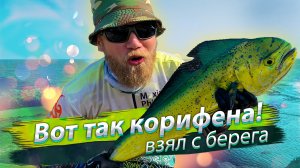 ВОТ ЭТО КОРИФЕНА! Морская рыбалка с берега. Сёрфтроллинг.